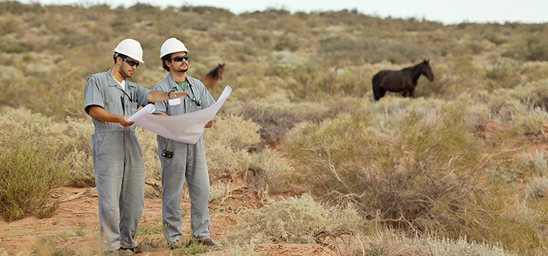 two men standing in a field with two horses behind them