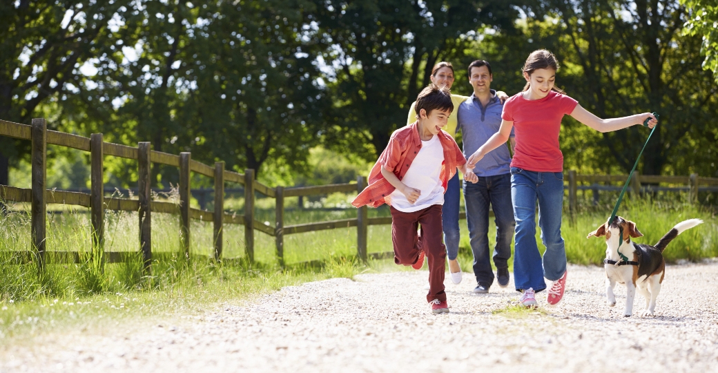 a family walking their dog in the countryside