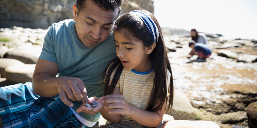 family searching for shells on beach